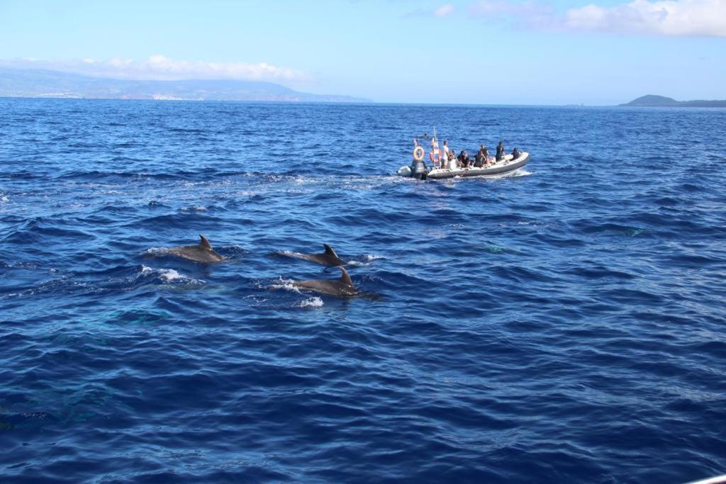 Cantinho Dos Cagarros Lajes do Pico Extérieur photo